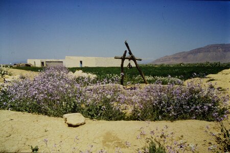 Rando Tunisie 1987, 0035_1987-03-99