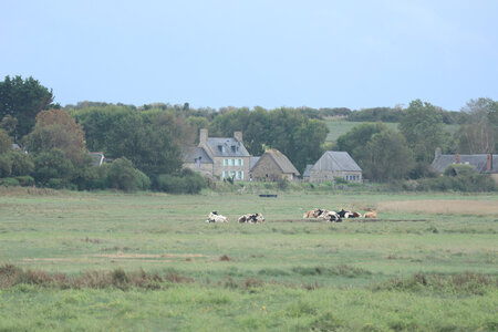 2023 09 18 De Champeaux à Saint-Quentin-sur-le-Homme, IMG_5867 Saint-Léonard